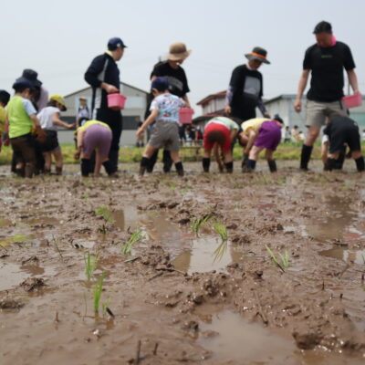 ～レッツ「田植え」～